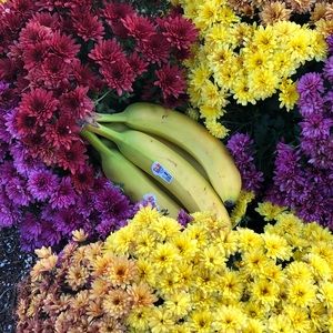 Meet your Posher, Daina